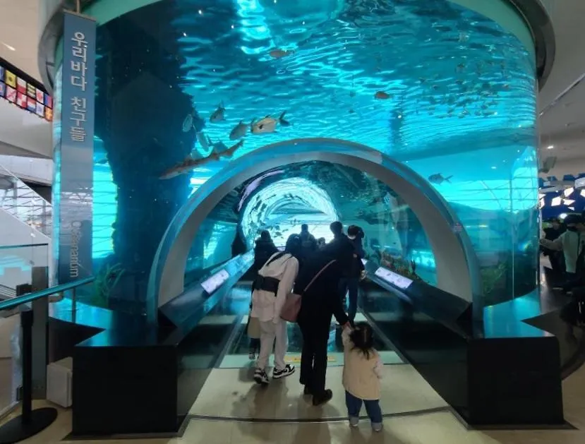 Oceanview - Short And Long Term Stay Busan 0*,  South Korea