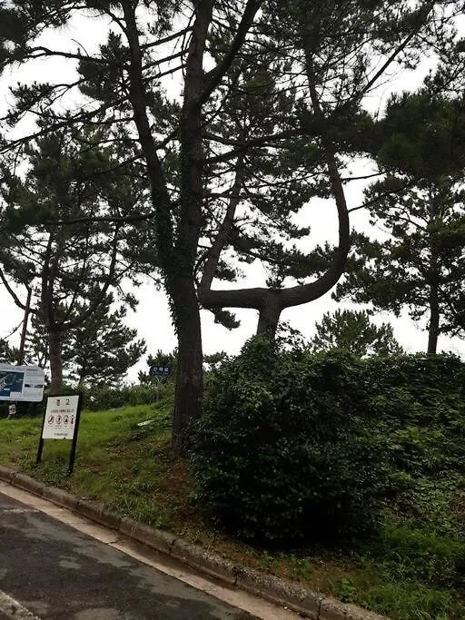 Oceanview - Short And Long Term Stay Busan