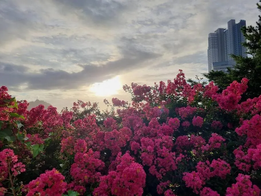 Apartment Oceanview - Short And Long Term Stay Busan